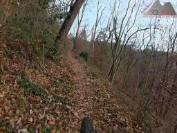 2025-11-19_endless-trail_sissach_08