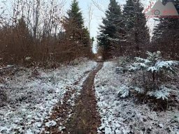 2025-11-19_endless-trail_sissach_09