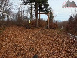 2025-11-19_endless-trail_sissach_10