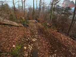 2025-11-19_endless-trail_sissach_11