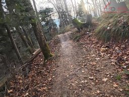 2025-11-19_endless-trail_sissach_16