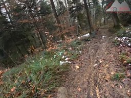 2025-11-19_endless-trail_sissach_17