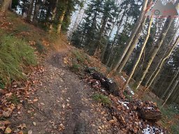 2025-11-19_endless-trail_sissach_18