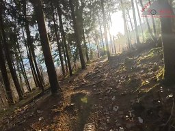 2025-11-19_endless-trail_sissach_20