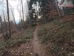 2025-11-19_endless-trail_sissach_22