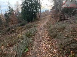 2025-11-19_endless-trail_sissach_23