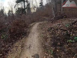 2025-11-19_endless-trail_sissach_24