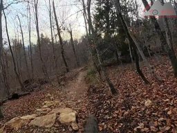 2025-11-19_endless-trail_sissach_25