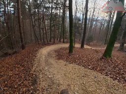 2025-11-19_endless-trail_sissach_28