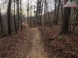 2025-11-19_endless-trail_sissach_31