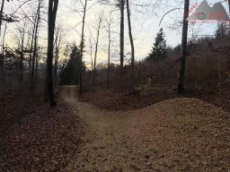 2025-11-19_endless-trail_sissach_32