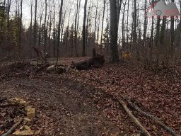 2025-11-19_endless-trail_sissach_37