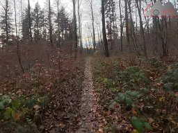 2025-11-19_endless-trail_sissach_38