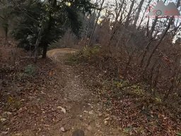 2025-11-19_endless-trail_sissach_40