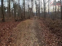 2025-11-19_endless-trail_sissach_45