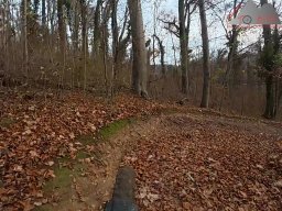 2025-11-19_endless-trail_sissach_46