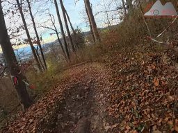 2025-11-19_endless-trail_sissach_47
