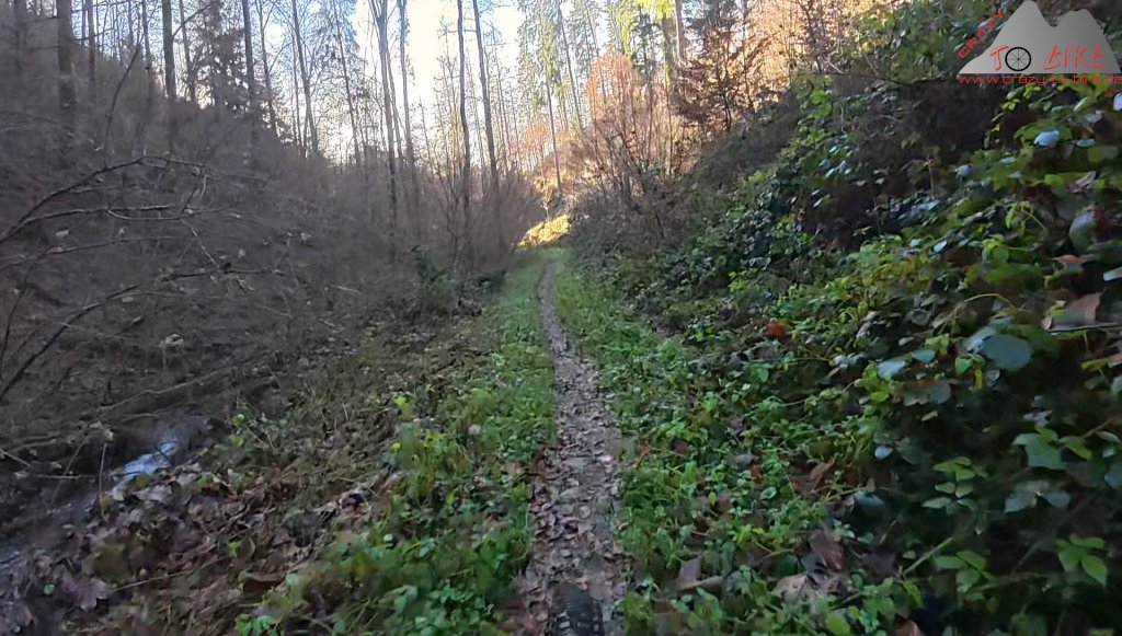 Trails an der Ruine Bärenfels (02.12..2025)