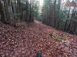 2025-12-02_trails_an_der_ruine_baerenfels_02