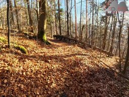 2025-12-02_trails_an_der_ruine_baerenfels_04