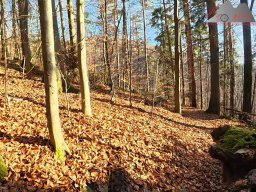 2025-12-02_trails_an_der_ruine_baerenfels_05