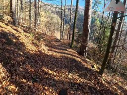 2025-12-02_trails_an_der_ruine_baerenfels_06