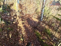 2025-12-02_trails_an_der_ruine_baerenfels_07