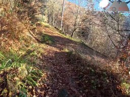 2025-12-02_trails_an_der_ruine_baerenfels_14