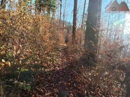 2025-12-02_trails_an_der_ruine_baerenfels_15