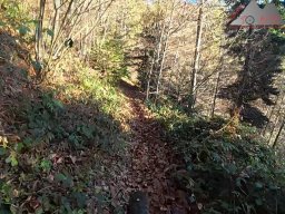 2025-12-02_trails_an_der_ruine_baerenfels_16