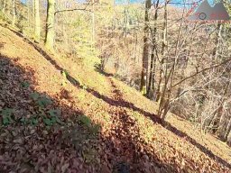 2025-12-02_trails_an_der_ruine_baerenfels_17