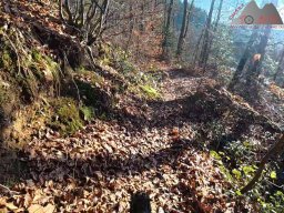 2025-12-02_trails_an_der_ruine_baerenfels_18