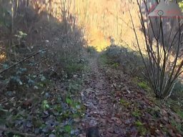 2025-12-02_trails_an_der_ruine_baerenfels_19