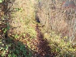 2025-12-02_trails_an_der_ruine_baerenfels_20