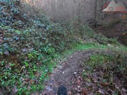 2025-12-02_trails_an_der_ruine_baerenfels_21