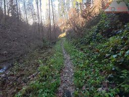 2025-12-02_trails_an_der_ruine_baerenfels_22