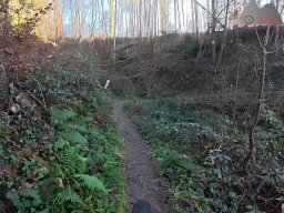 2025-12-02_trails_an_der_ruine_baerenfels_24