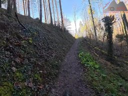 2025-12-02_trails_an_der_ruine_baerenfels_25