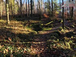 2025-12-02_trails_an_der_ruine_baerenfels_27