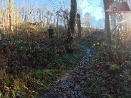 2025-12-02_trails_an_der_ruine_baerenfels_28