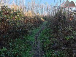 2025-12-02_trails_an_der_ruine_baerenfels_29