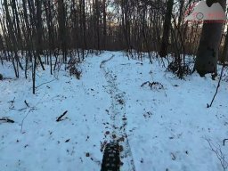 2026-01-05_snowride_am_sunneberg_11