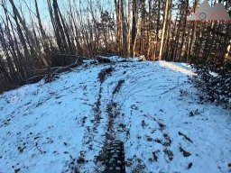 2026-01-05_snowride_am_sunneberg_17