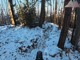 2026-01-05_snowride_am_sunneberg_19