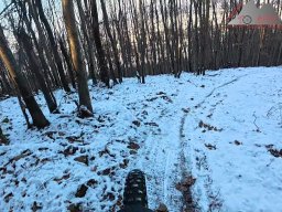 2026-01-05_snowride_am_sunneberg_20