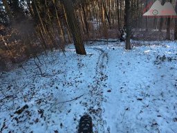 2026-01-05_snowride_am_sunneberg_27