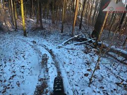 2026-01-05_snowride_am_sunneberg_28