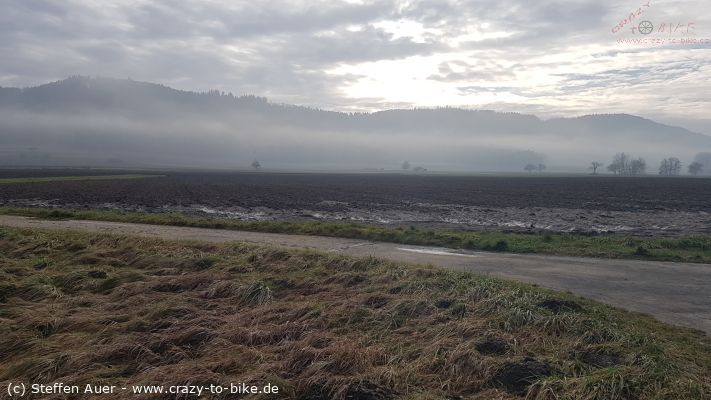 Achweg nach Radolfzell