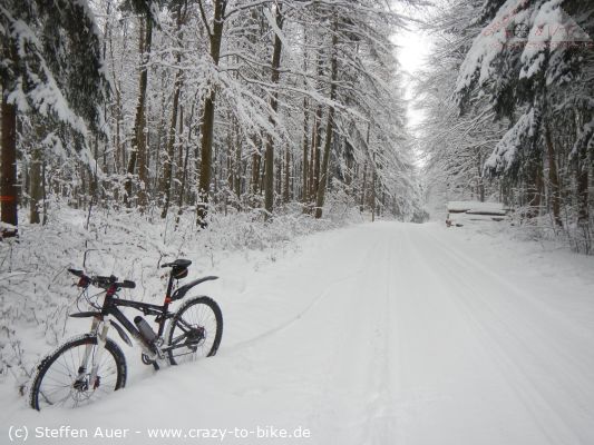 Endlich Schnee... erster Snowride 2014/2015