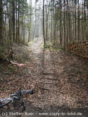 Endlich wieder Sonne - und die geniale Buchberg-Eichberg-Runde